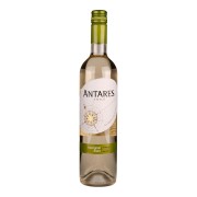 Antares - Sauvignon Blanc - 0.75L - 2022