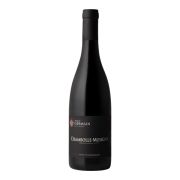 Arnaud Germain - Chambolle-Musigny - 0.75L - 2020