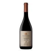 Bodegas Salentein - Pinot Noir Single Vineyard Los Jabalíes Vineyard - 0.75L - 2019