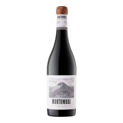 Can Ràfols dels Caus - Montombra Touriga Nacional Syrah - 0.75L - 2019