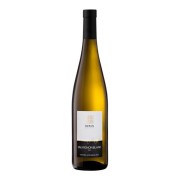 Cantina Meran - Festival Sauvignon Blanc - 0.75L - 2023