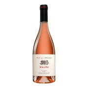 Cellers Scala Dei - Pla dels Àngels