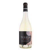 Clunia - Tesela by Clunia Albillo - 0.75L - 2022