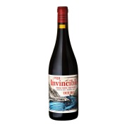 Companhia del Vinhos Invencível - Invincible Tinta No 1 - 0.75L - 2023