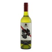 D’Arenberg - The Money Spider Rousanne - 0.75L - 2024