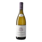 Domaine Chandon de Briailles - Savigny-lès-Beaune Les Saucours Blanc - 0.75L - 2021