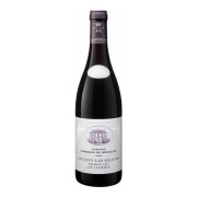 Domaine Chandon de Briailles - Savigny-lès-Beaune Premier Cru Les Lavières BIO - 0.75L - 2019