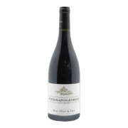 Domaine Jean Féry & Fils - Nuits-Saint-Georges Premier Cru Les Damodes - 0.75L - 2022