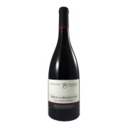 Domaine Jean-Marc & Hugues Pavelot - Savigny-lès-Beaune Premier Cru Les Serpentières - 0.75L - 2022