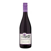 Domaine Joël & Thierry Delaunay - Le Grand Ballon Gamay - 0.75L - 2022