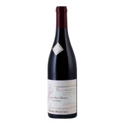 Domaine Michel Gros - Hautes Côtes de Nuits Fontaine Saint Martin Monopole Rouge - 1.5L - 2022