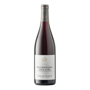 Domaine Michelot - Bourgogne Côte d’Or Pinot Noir - 0.75L - 2020