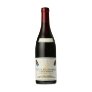 Domaine Remoriquet - Nuits-Saint-Georges Premier Cru Les Bousselots - 0.75L - 2020