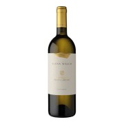 Elena Walch - Pinot Grigio Castel Ringberg - 0.75L - 2024
