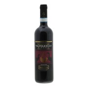 Fasoli Gino - Valpolicella Ripasso BIO - 0.75L - 2021