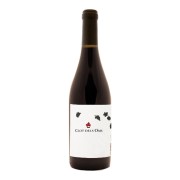 Finca Ca n’Estrella - Clot dels Oms Tinto - 0.75L - 2022