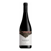 Il Conte Villa Prandone - Marinus - 0.75L - 2021