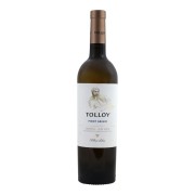 Kellerei Salurn - Tolloy Pinot Grigio - 0.75L - 2025