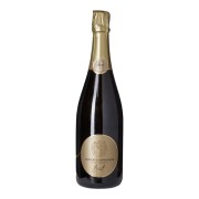 Monzio Compagnoni - Franciacorta Brut - 0.75L - 2022