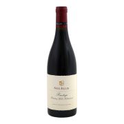 Neil Ellis - Bottelary Hills Pinotage - 0.75L - 2018