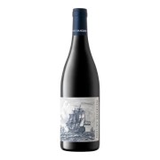 Nieuwe Haarlem - Pinotage - 0.75L - 2023