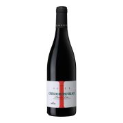 Ogier - Côtes du Rhône Villages Plan de Dieu Les Templiers - 0.75L - 2023