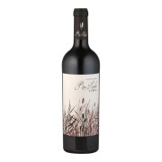 Rio Lindo - Syrah - 0.75L - 2024