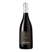 Sietejuntos - Merlot - 0.75L - 2014