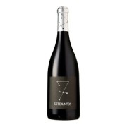 Sietejuntos - Syrah - 0.75L - 2012