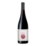 Sophie Schaal - Pinot Noir - 0.75L - 2024