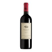 Tenuta di Biserno - Insoglio del Cinghiale - 3L - 2020