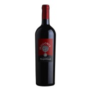 Tenuta Rapitalà - Hugonis Cabernet Sauvignon Nero d’Avola - 0.75L - 2020