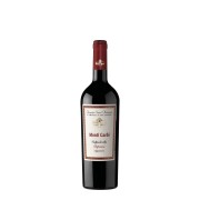 Tenuta Sant’Antonio - Valpolicella Ripasso Monti Garbi - 0.375L - 2021