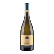 Umani Ronchi - Pecorino - 0.75L - 2024