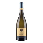 Umani Ronchi - Pecorino - 0.75L - 2025