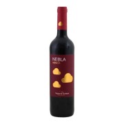 Vicente Gandía - Nebla Mencía - 0.75L - 2023