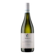Vignamato - Verdicchio dei Castelli di Jesi Classico - 0.75L - 2025
