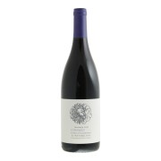 Waterkloof - Seriously Cool Cinsault - 0.75L - 2023