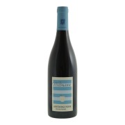 Weingut Wittmann - Spätburgunder Trocken BIO - 0.75L - 2024