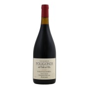 Zuccardi - Poligonos Paraje Altamira Malbec - 0.75L - 2022