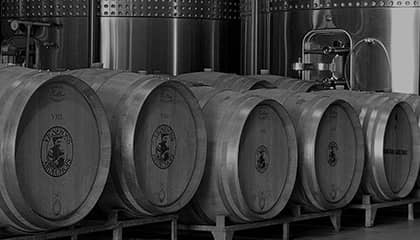 vignobles vellas weingut