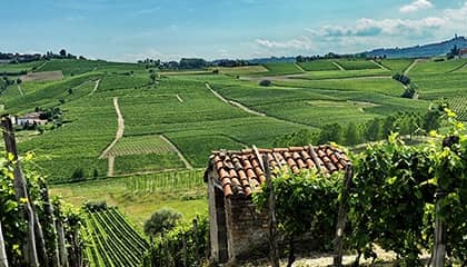 villa giada andrea faccio wein