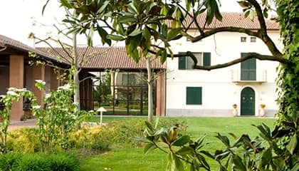 vinicola decordi wein