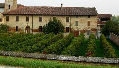 vinicola decordi weingut