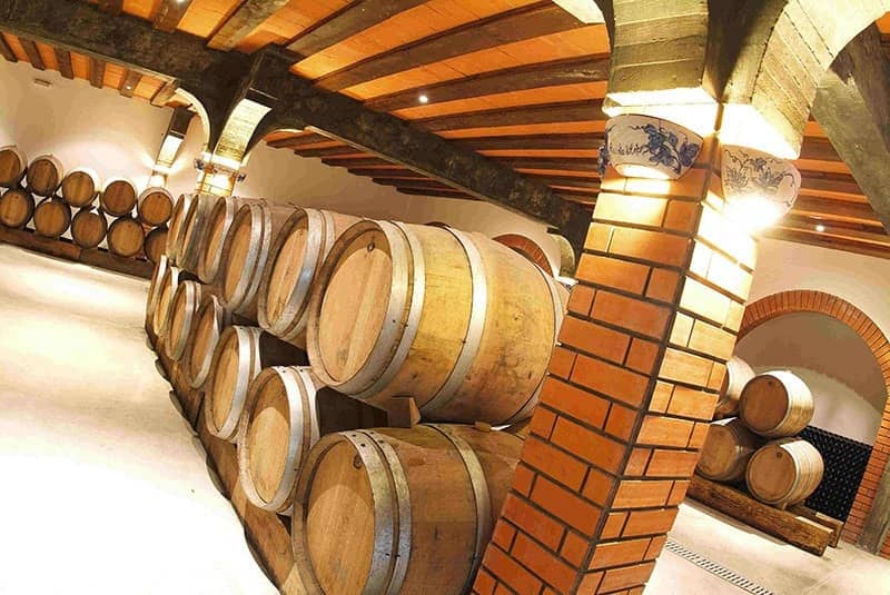 Quinta de Cabriz Weinkeller